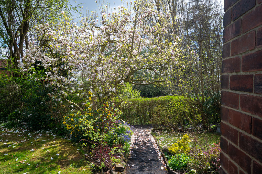 Whirlow Grove Whirlow